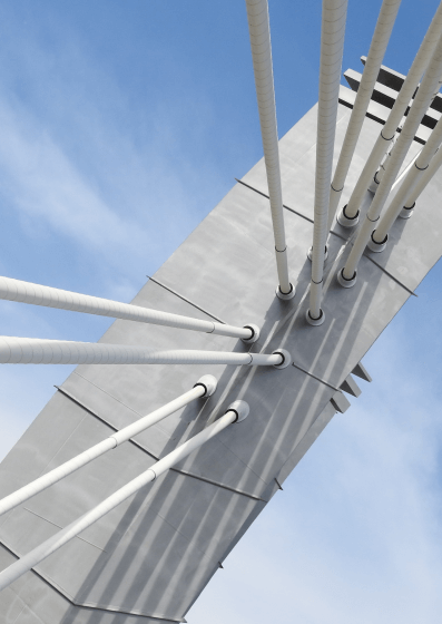 Pole and Structural Integrity Assessment